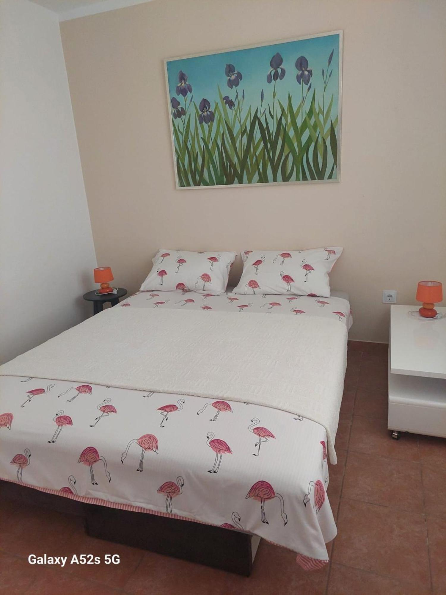 Apartments Pimpinella Premantura Bagian luar foto